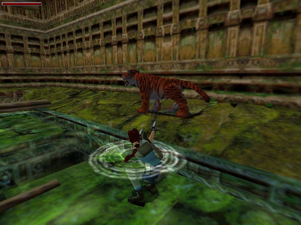 Me shooting at the tiger