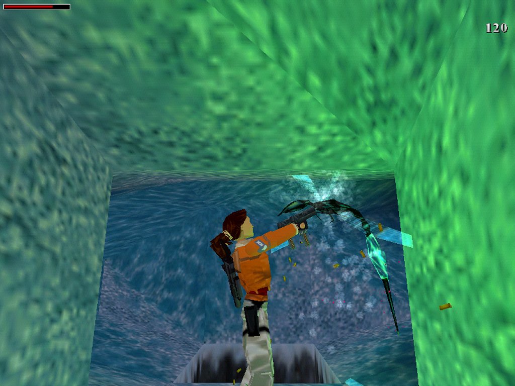 ... ouch - what a big wasp