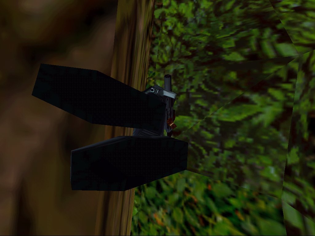 What size do I have?